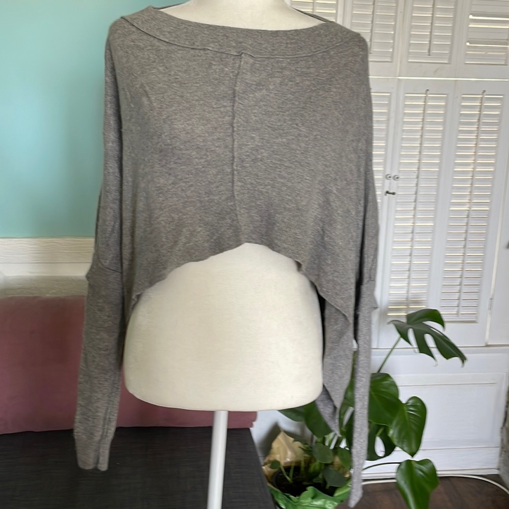 All Saints Spitafields Gray Cropped Serpent Jumper Sweater